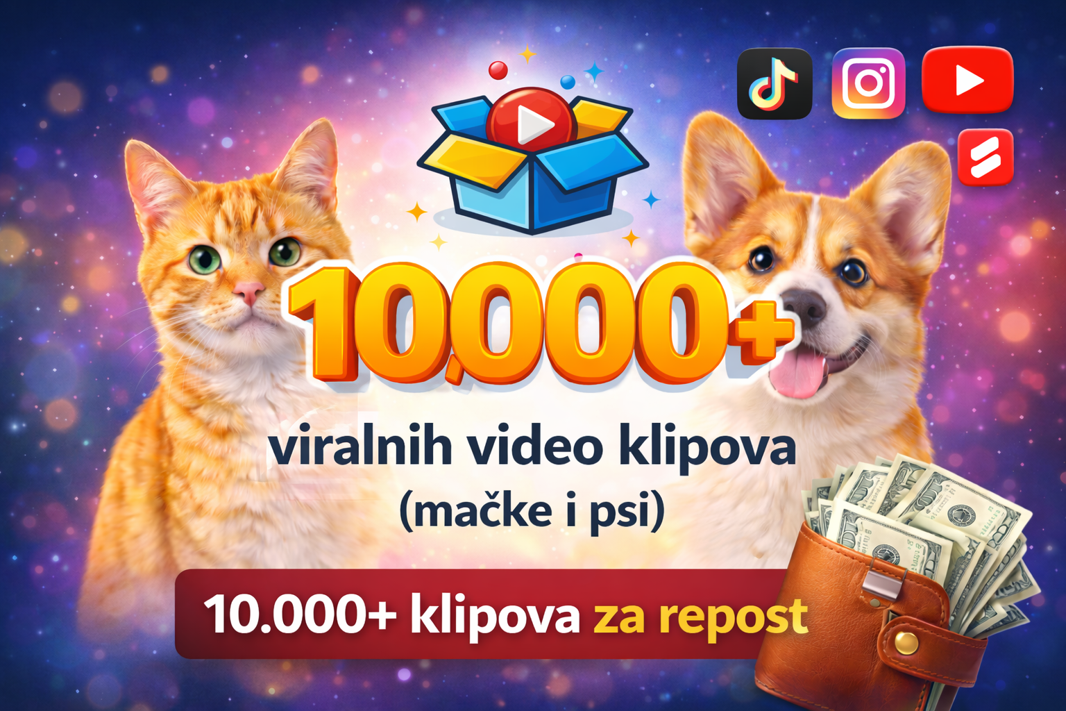 🎬 Viralni video paketi  10.000+ gotovih klipova (mačke i psi)